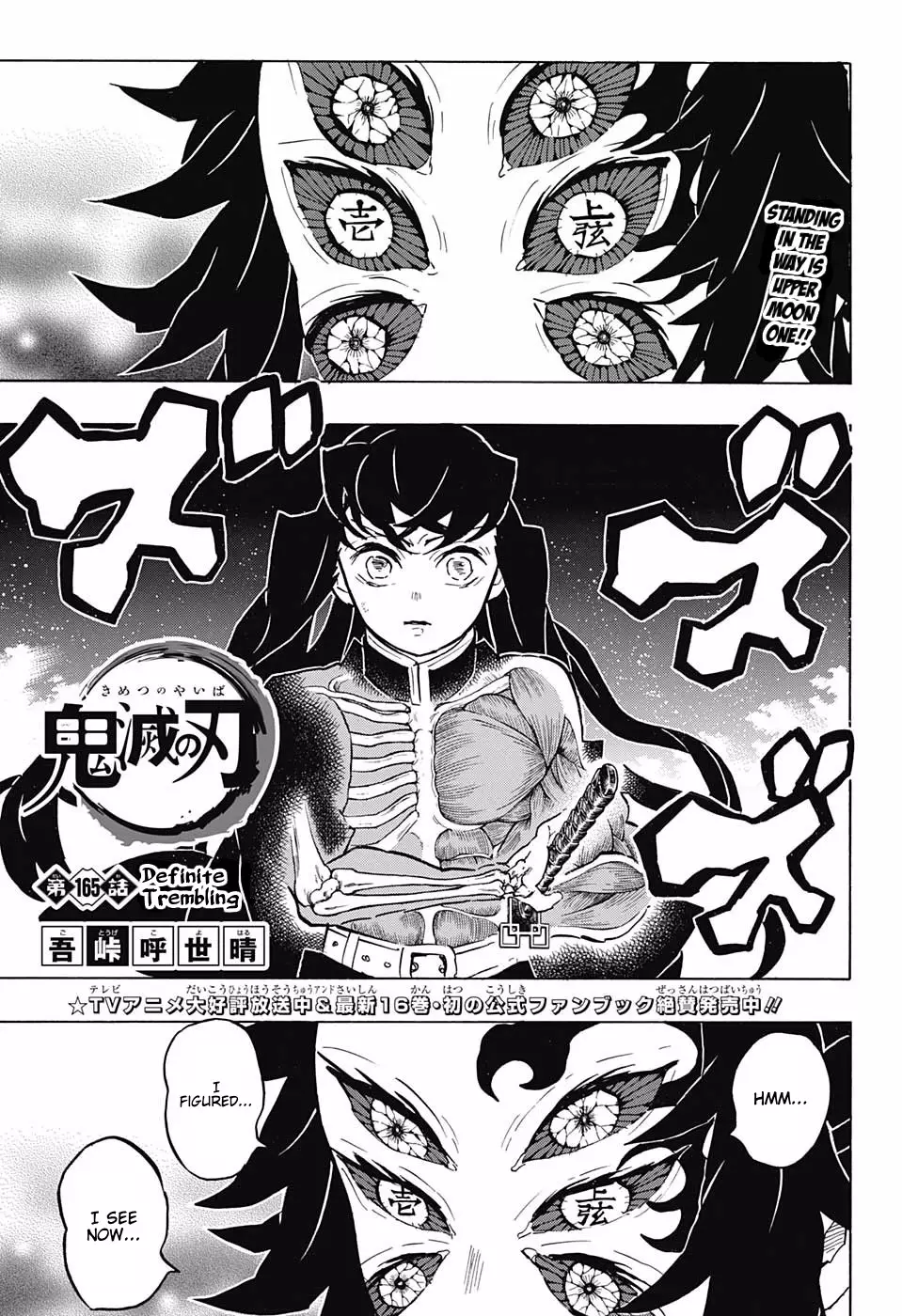 Read Kimetsu no Yaiba Chapter 165 - Definite Trembling Online