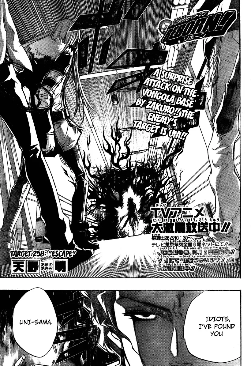 Read Katekyou Hitman Reborn! Chapter 258 Online