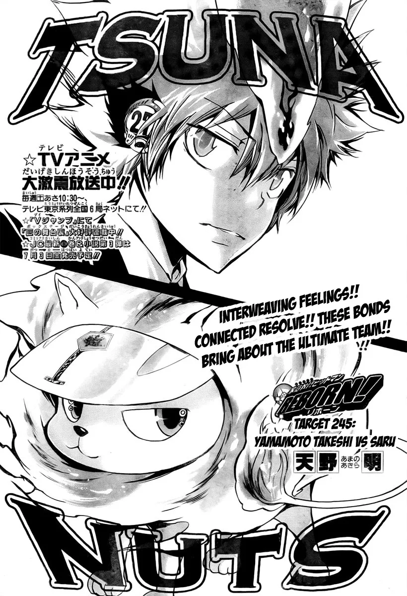 Read Katekyou Hitman Reborn! Chapter 245 Online