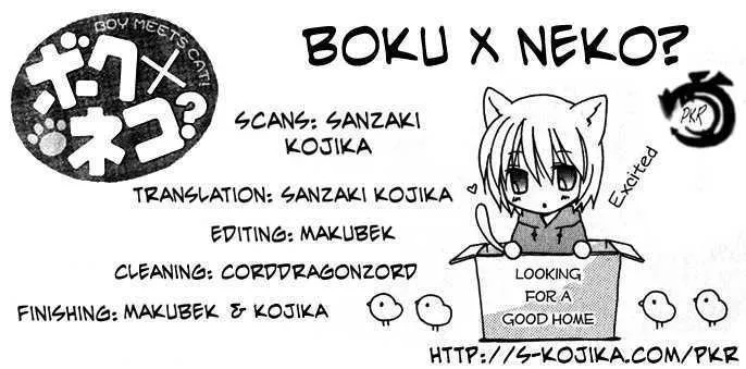 Read Boku x Neko? Chapter 6 - [END] Online