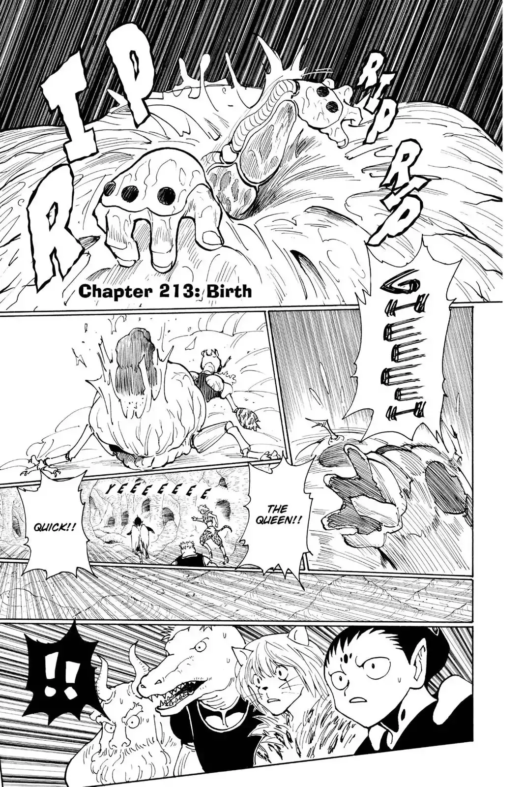 Read Hunter X Hunter Chapter 213 - Birth Online