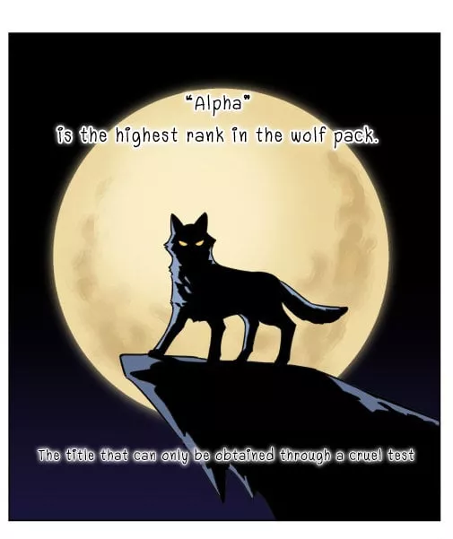 Read The Wolf That Picked Something Up Chapter 4 Online
