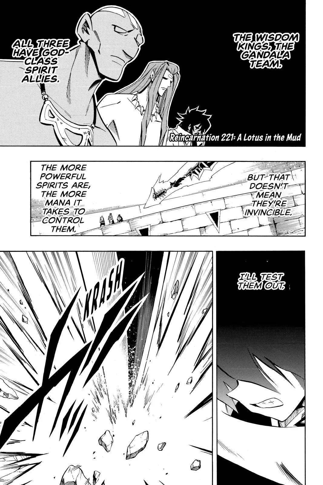 Read Shaman King Chapter 221 Online