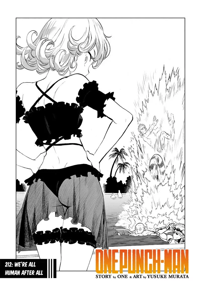 Read Onepunch-Man Chapter 212 Online