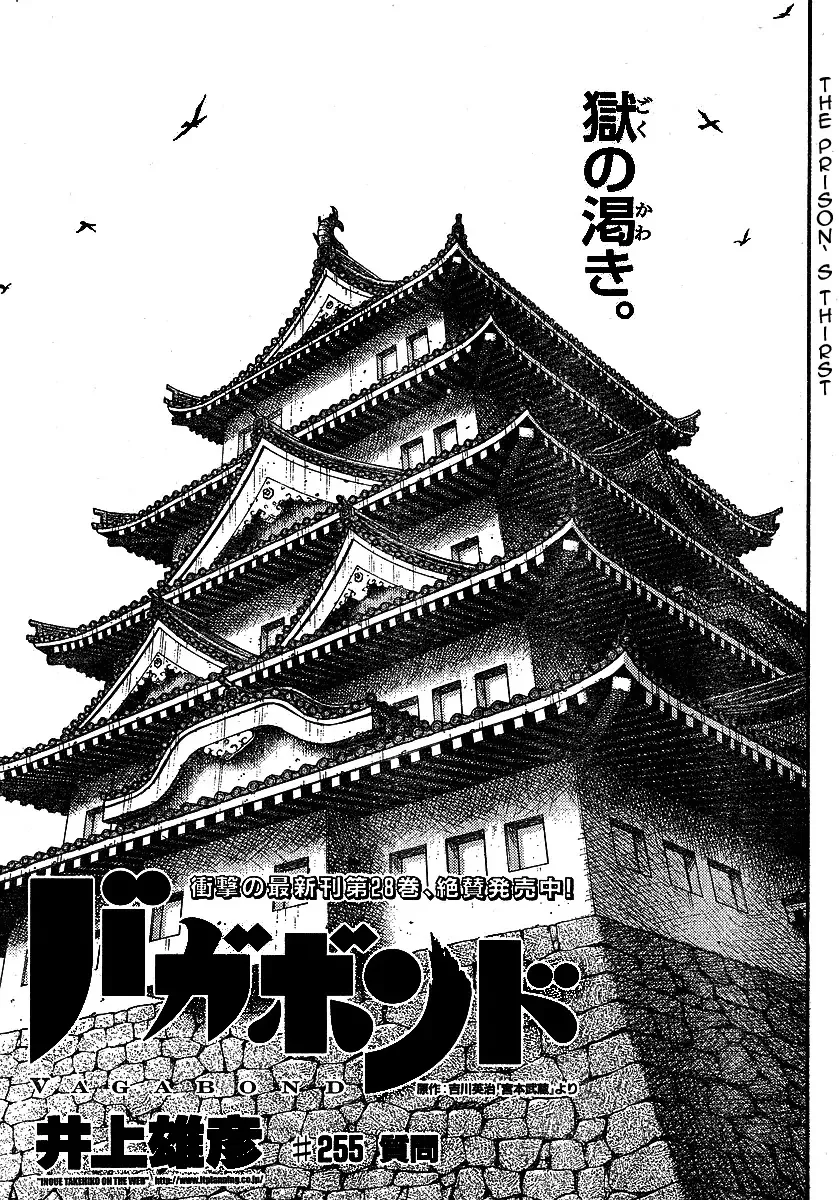 Read Vagabond Chapter 255 - Questions Online