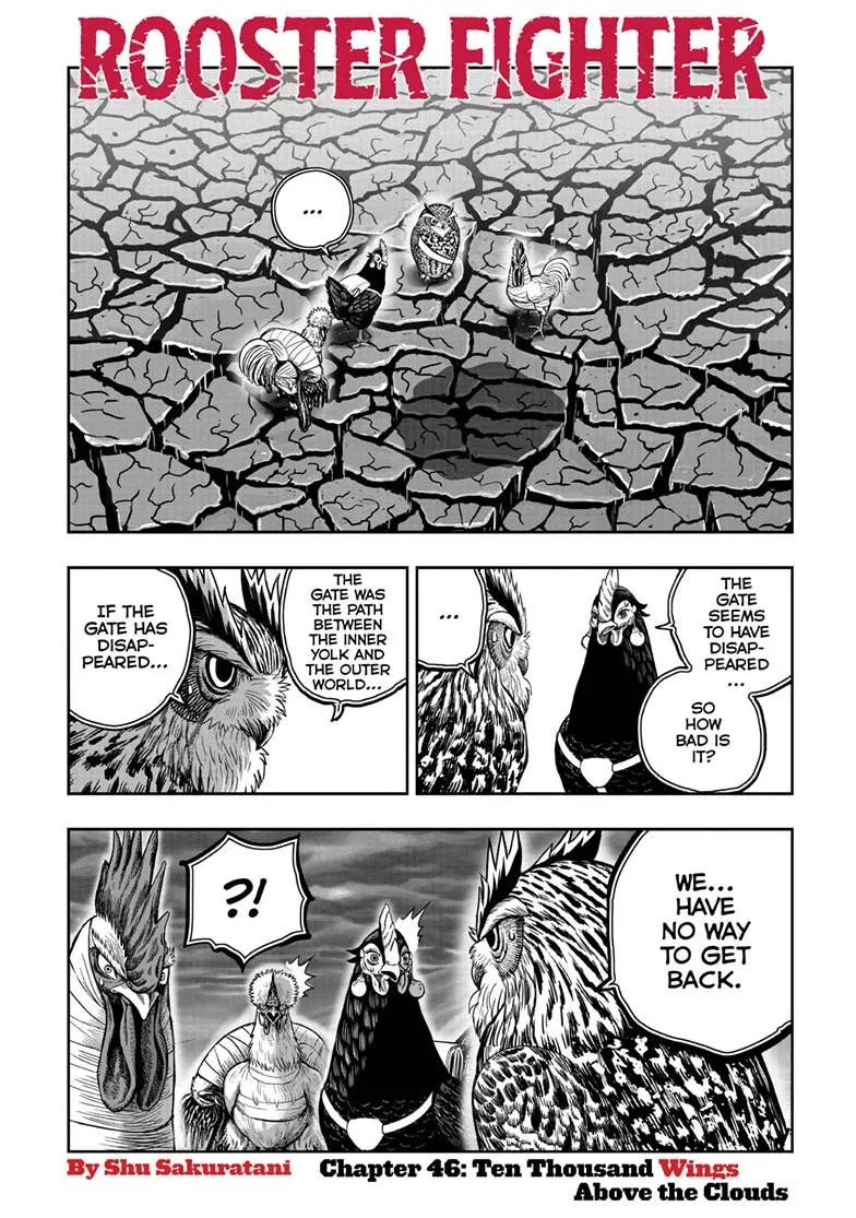 Read Rooster Fighter Chapter 46 Online