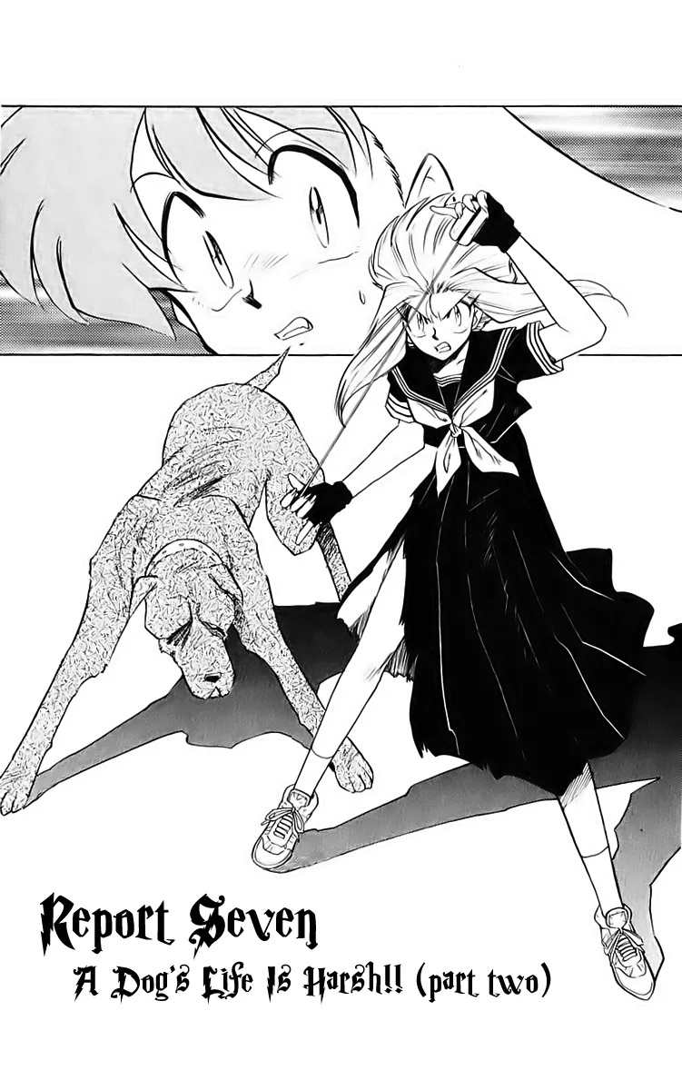 Read Ghost Sweeper Mikami: Operation Paradise! Chapter 189 - Report 7 - A Dog's Life Is Harsh!! (Part Two) Online