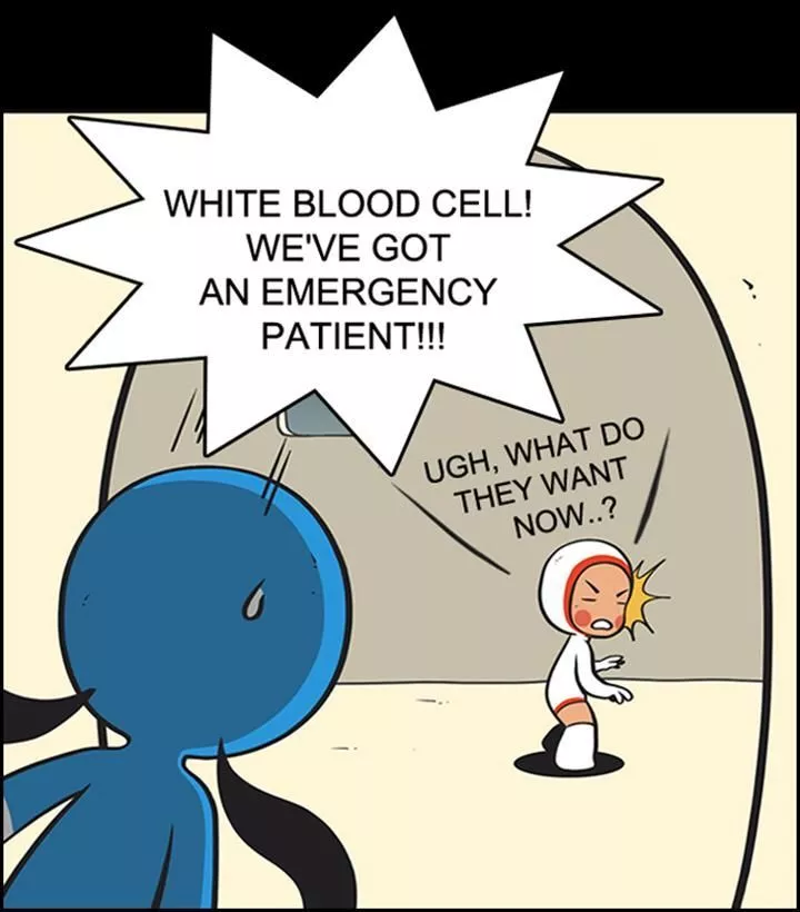 Read Yumi’s Cells Chapter 52 Online