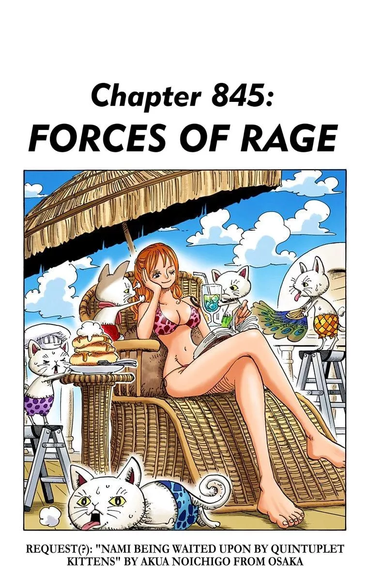 Read One Piece Chapter 845 Online