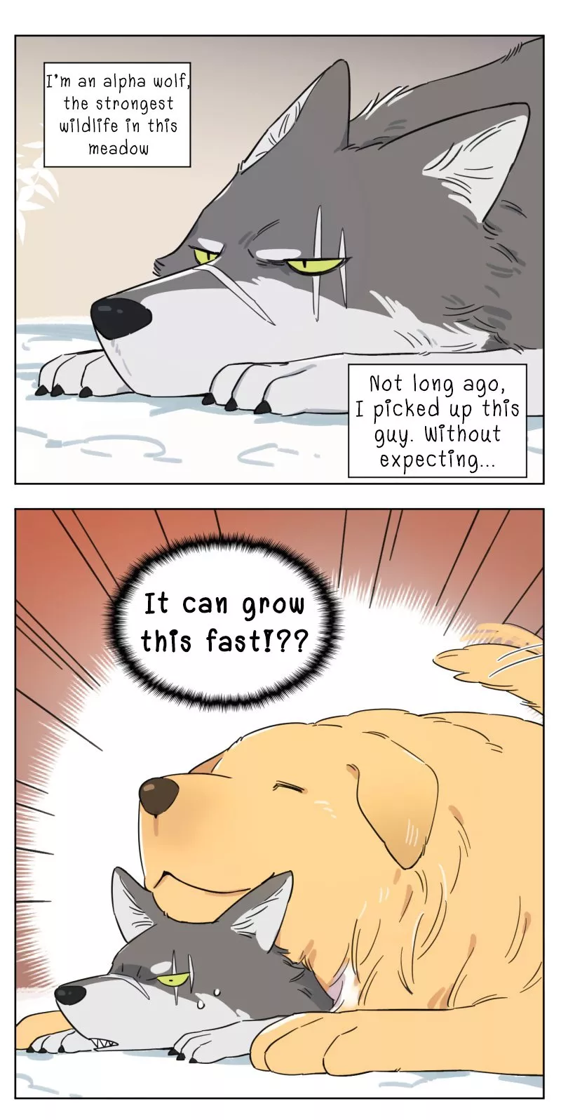 Read The Wolf That Picked Something Up Chapter 2 Online
