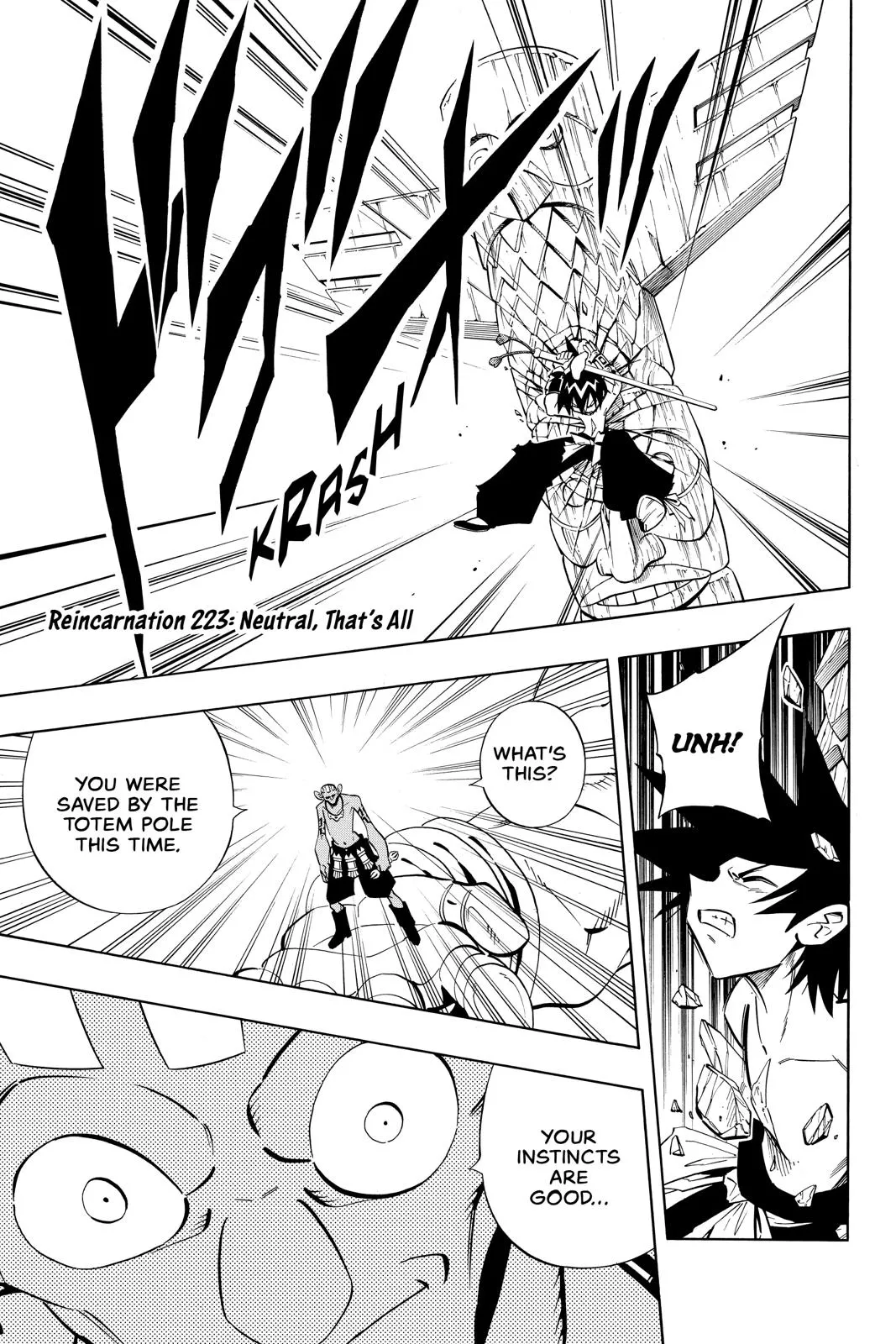 Read Shaman King Chapter 223 Online