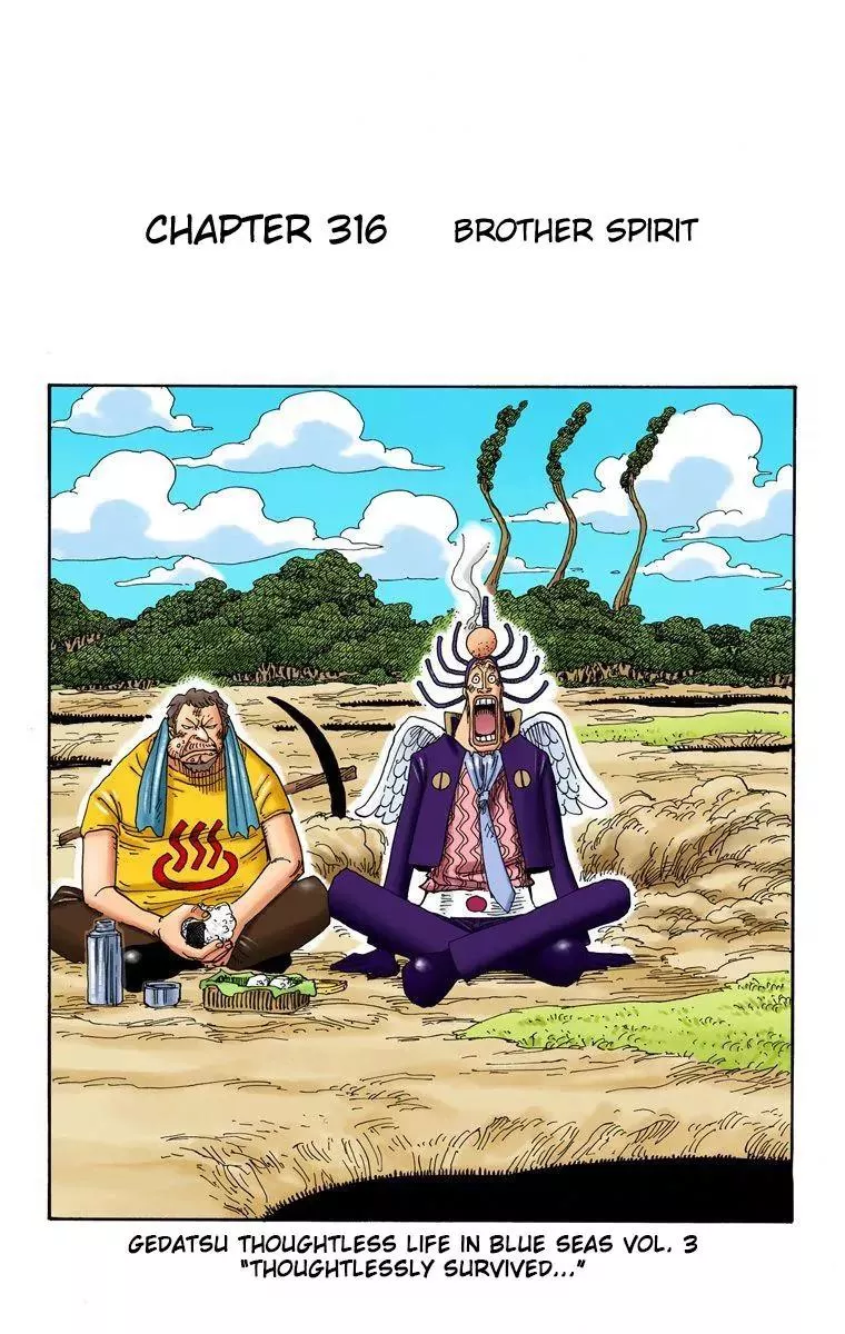 Read One Piece Chapter 316 - Brother Spirit Online