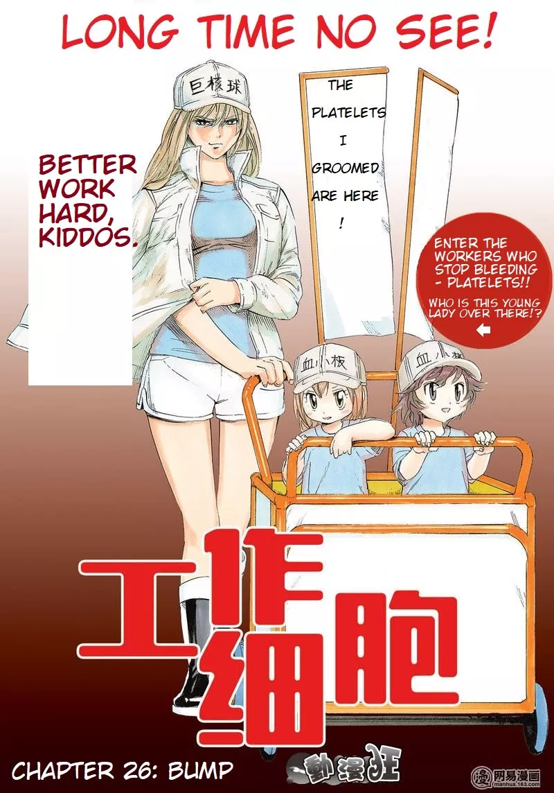 Read Hataraku Saibou Chapter 26 - Bump Online
