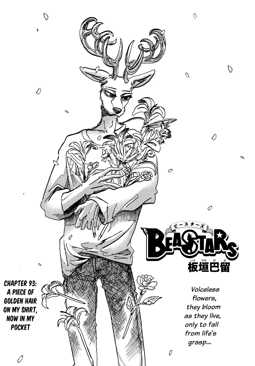 Read Beastars Chapter 93 - A Piece of Golden Hair on My Shirt, Now in My Pocket Online