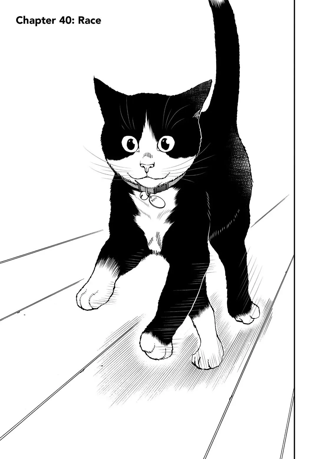 Read A Gamer Living with a Cat Chapter 40 - Race Online