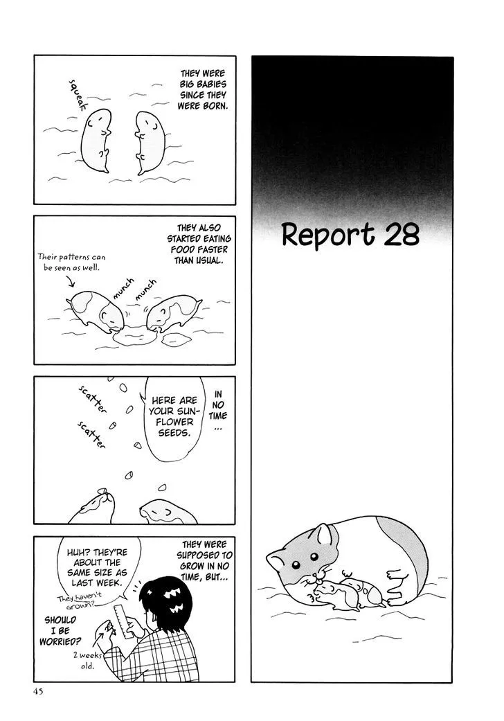 Read Hamster no Kenkyuu Report Chapter 25 - Report 28 Online