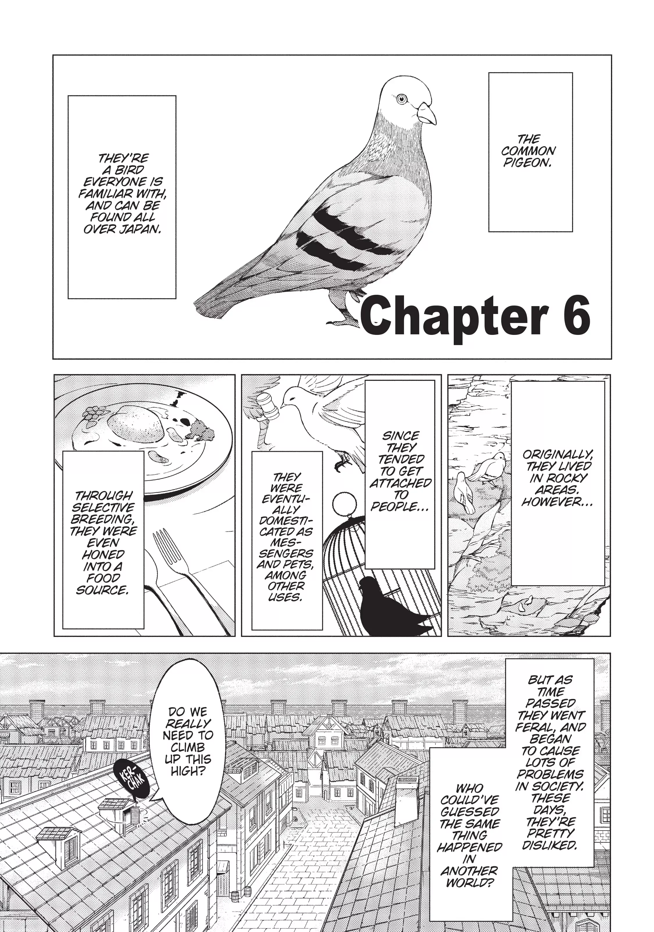 Read Hunting in Another World With My Elf Wife Chapter 6 Online