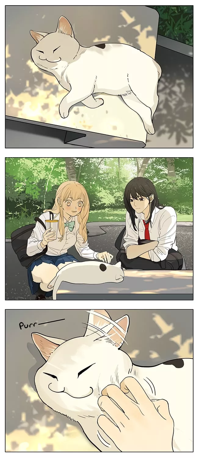 Read Tamen de Gushi Chapter 205 - Cat. Online