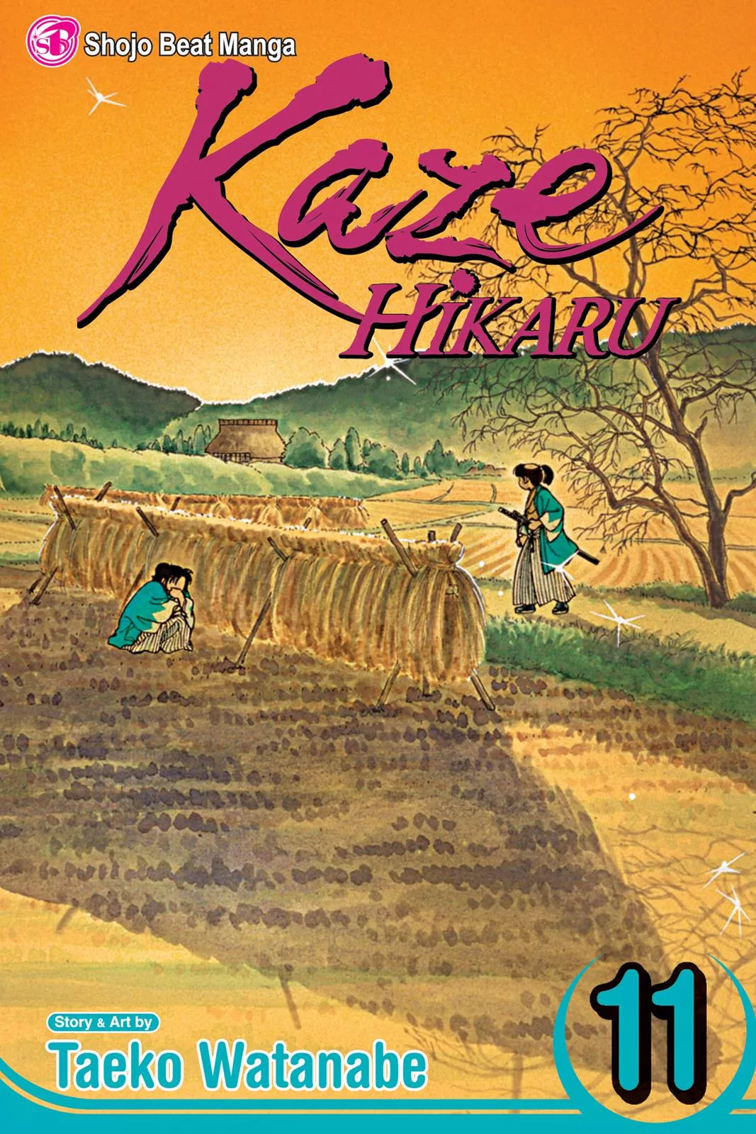 Read Kaze Hikaru Chapter 11 Online