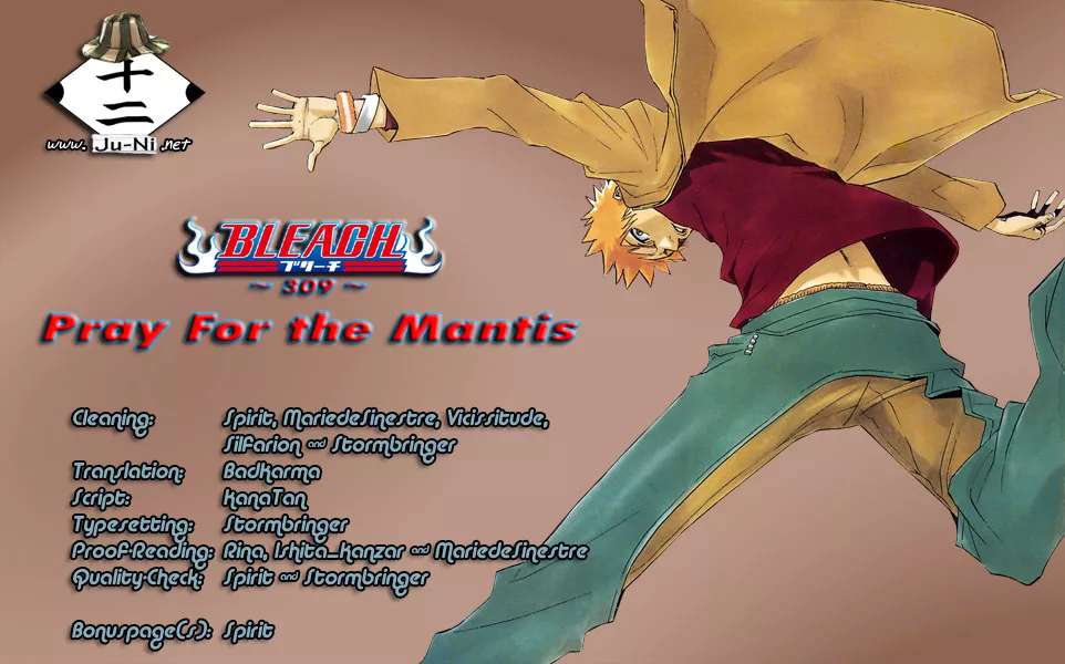 Read Bleach Chapter 309 - Pray For the Mantis Online