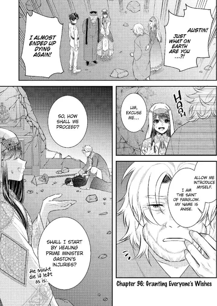 Read Seijo no Hazu ga, Douyara Nottoraremashita Chapter 36 Online