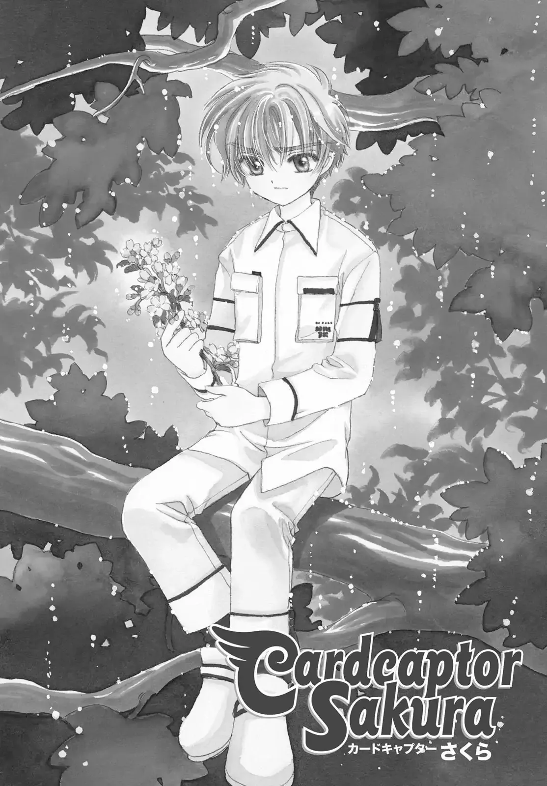 Read Cardcaptor Sakura Chapter 41 Online