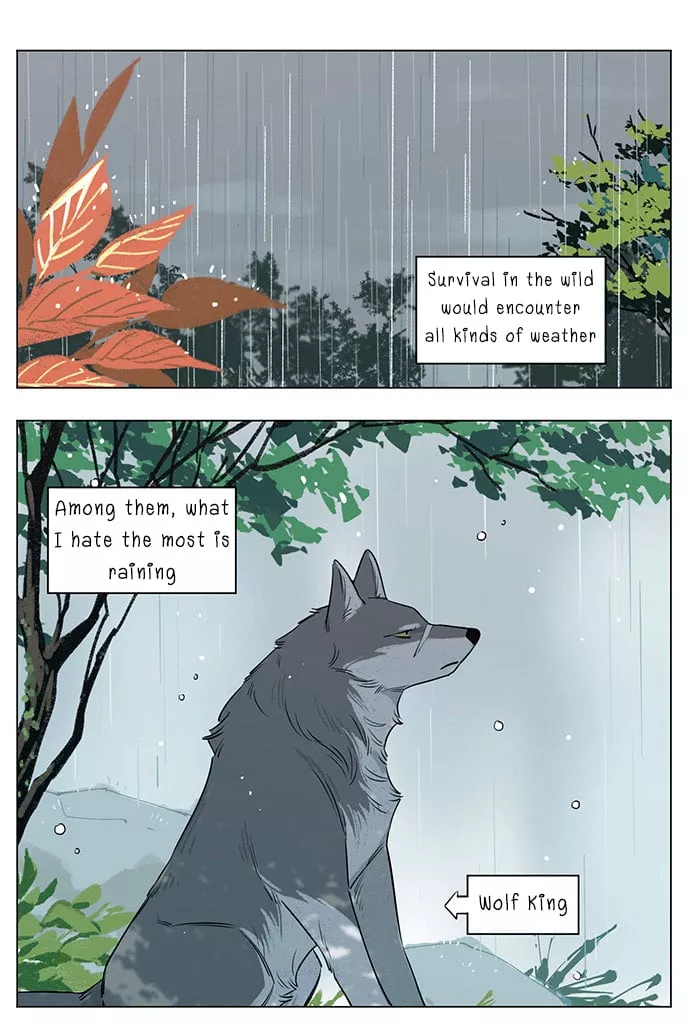 Read The Wolf That Picked Something Up Chapter 15 Online