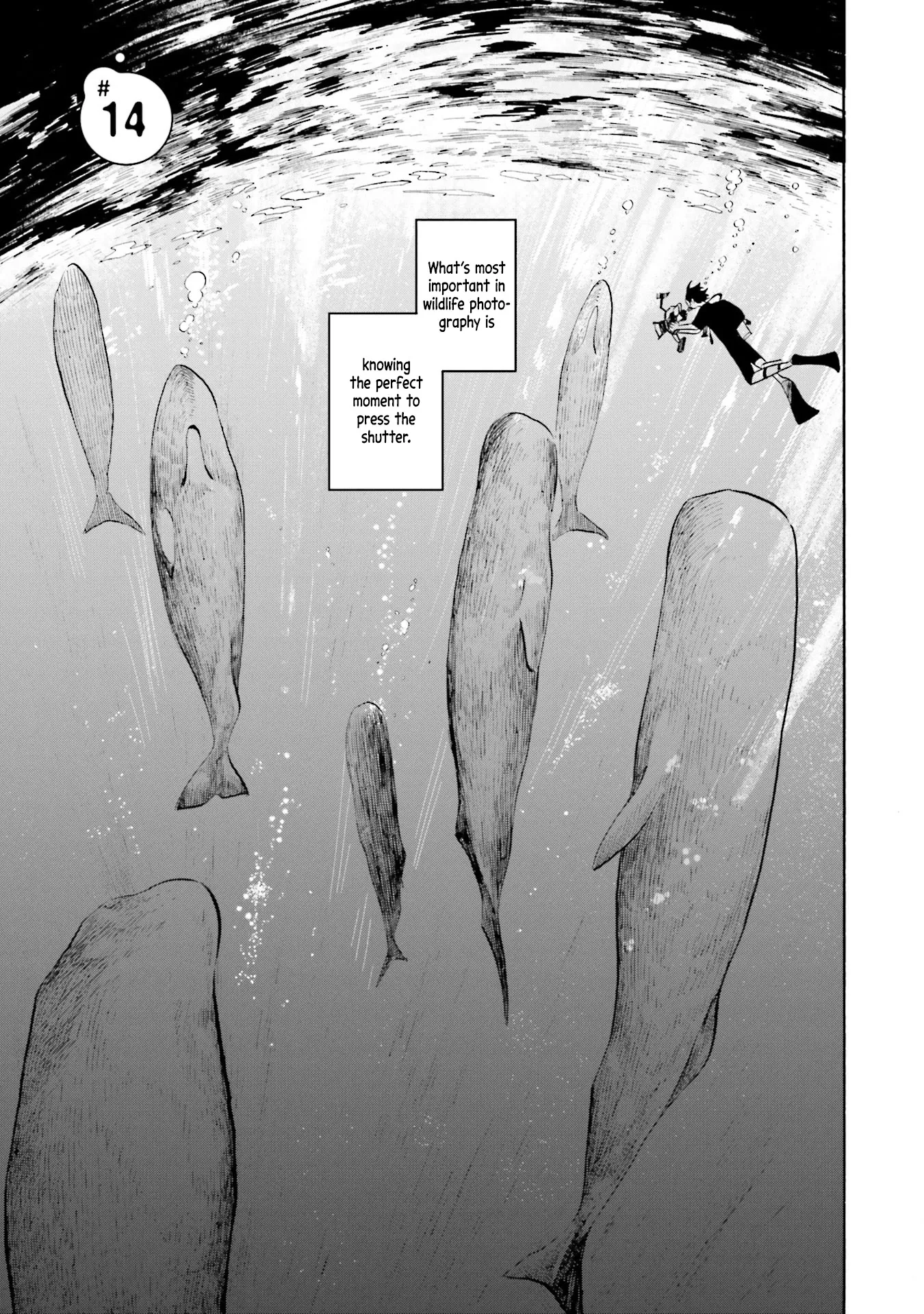 Read Deep Sea Aquarium Magmell Chapter 14 Online