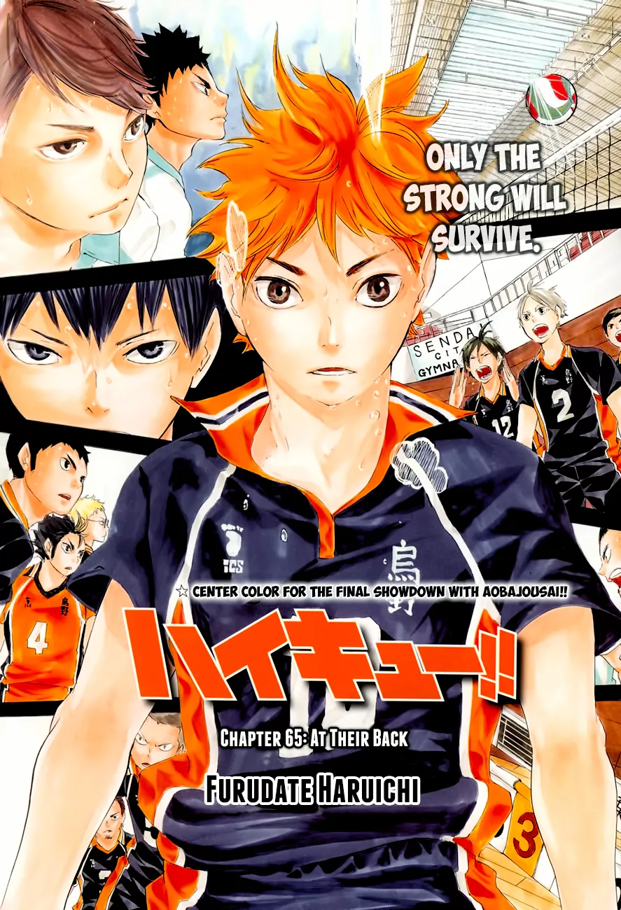 Read Haikyu!! Chapter 65 - At Their Back Online