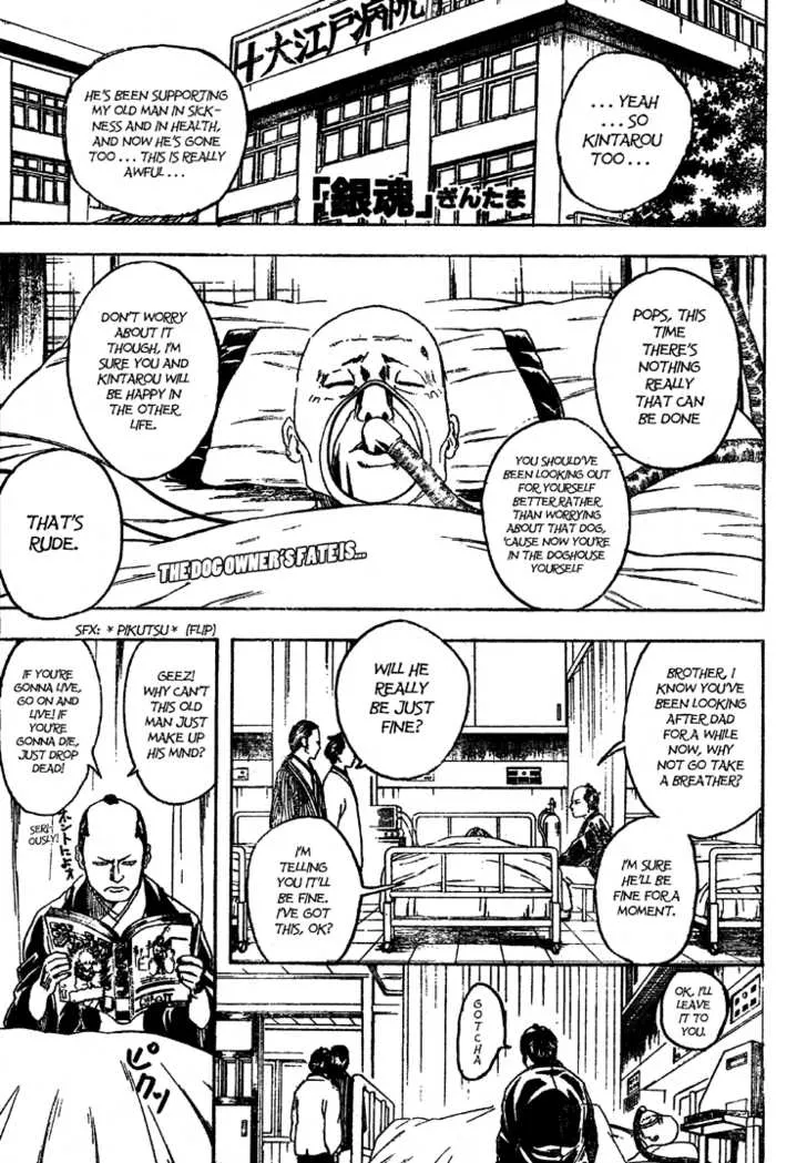 Read Gintama Chapter 208 - Cat owners and dog owners never see eye to eye Online