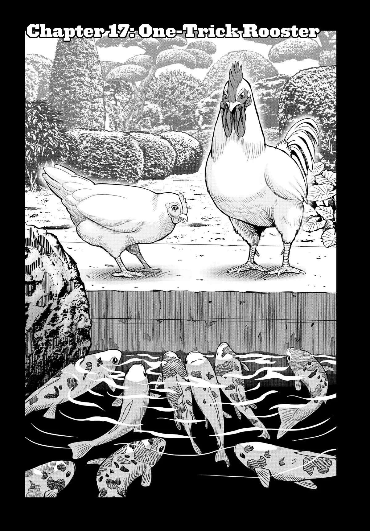 Read Rooster Fighter Chapter 17 Online