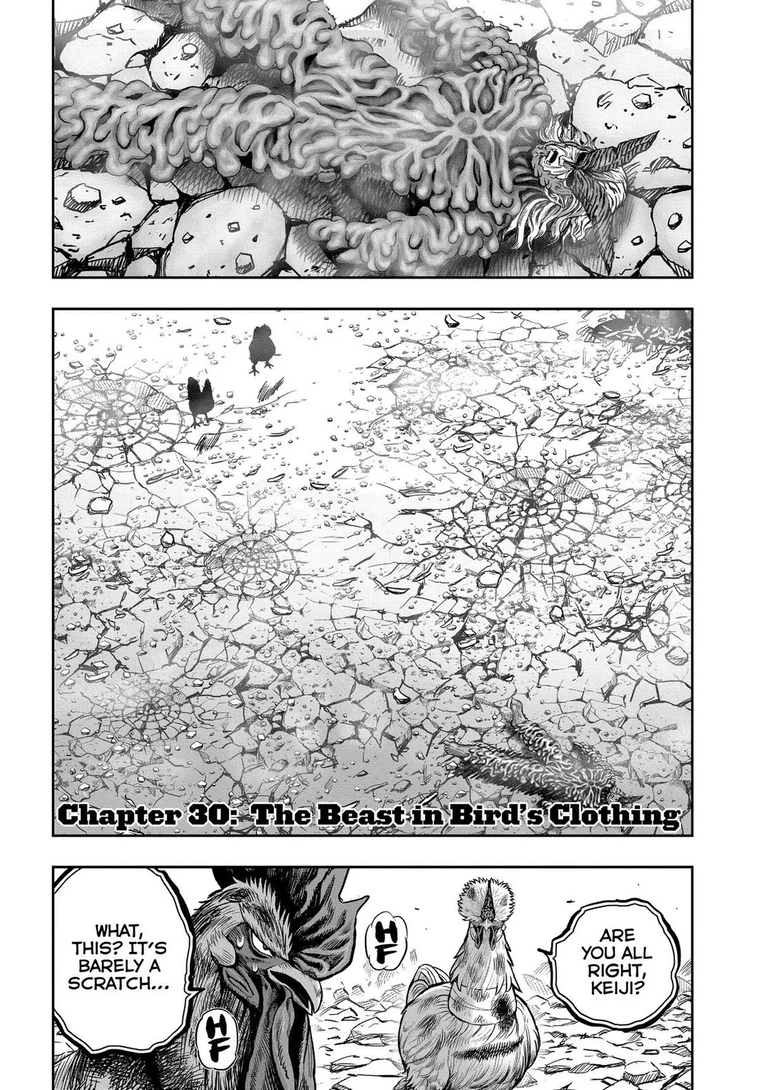 Read Rooster Fighter Chapter 30 Online