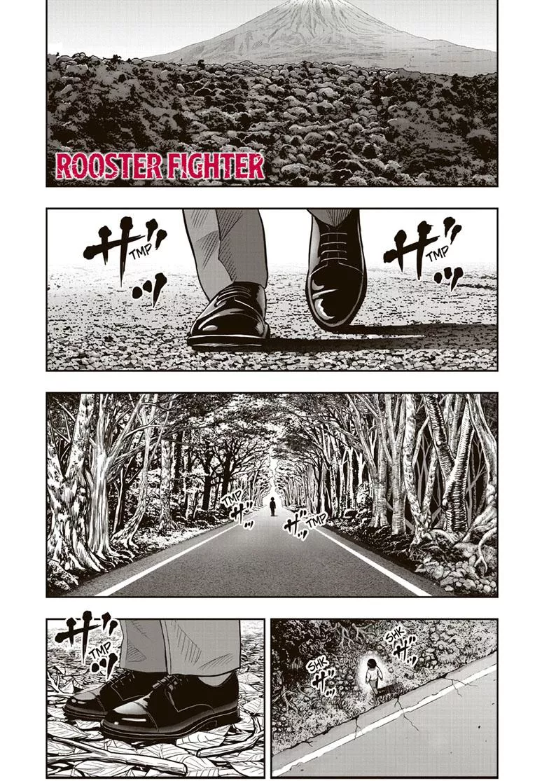 Read Rooster Fighter Chapter 38 Online