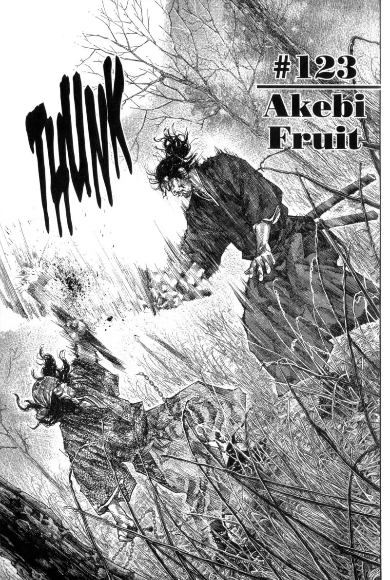 Read Vagabond Chapter 123 - Akebi Fruit Online