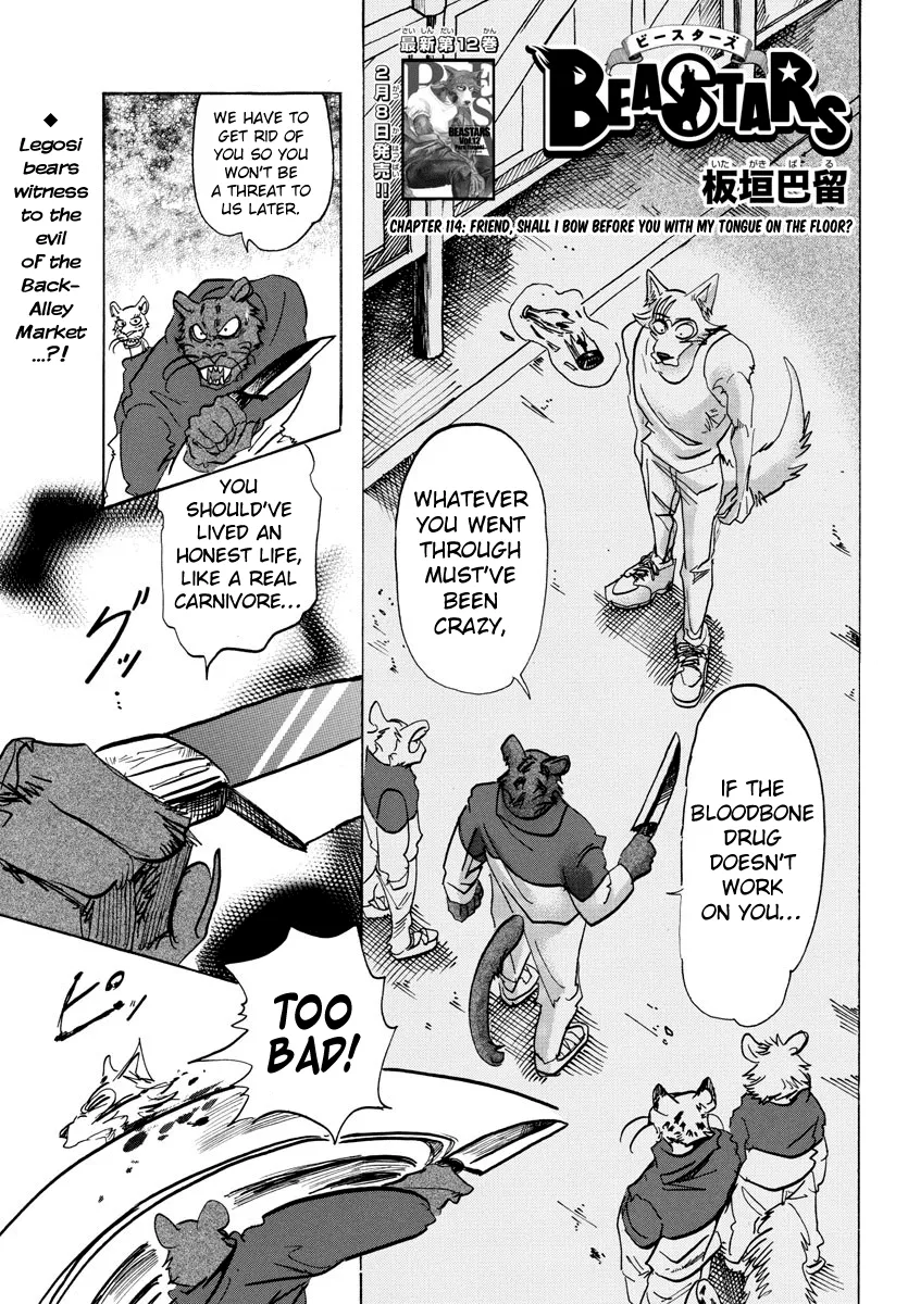 Read Beastars Chapter 114 - Friend, Shall I Bow Before You with My Tongue on the Floor? Online