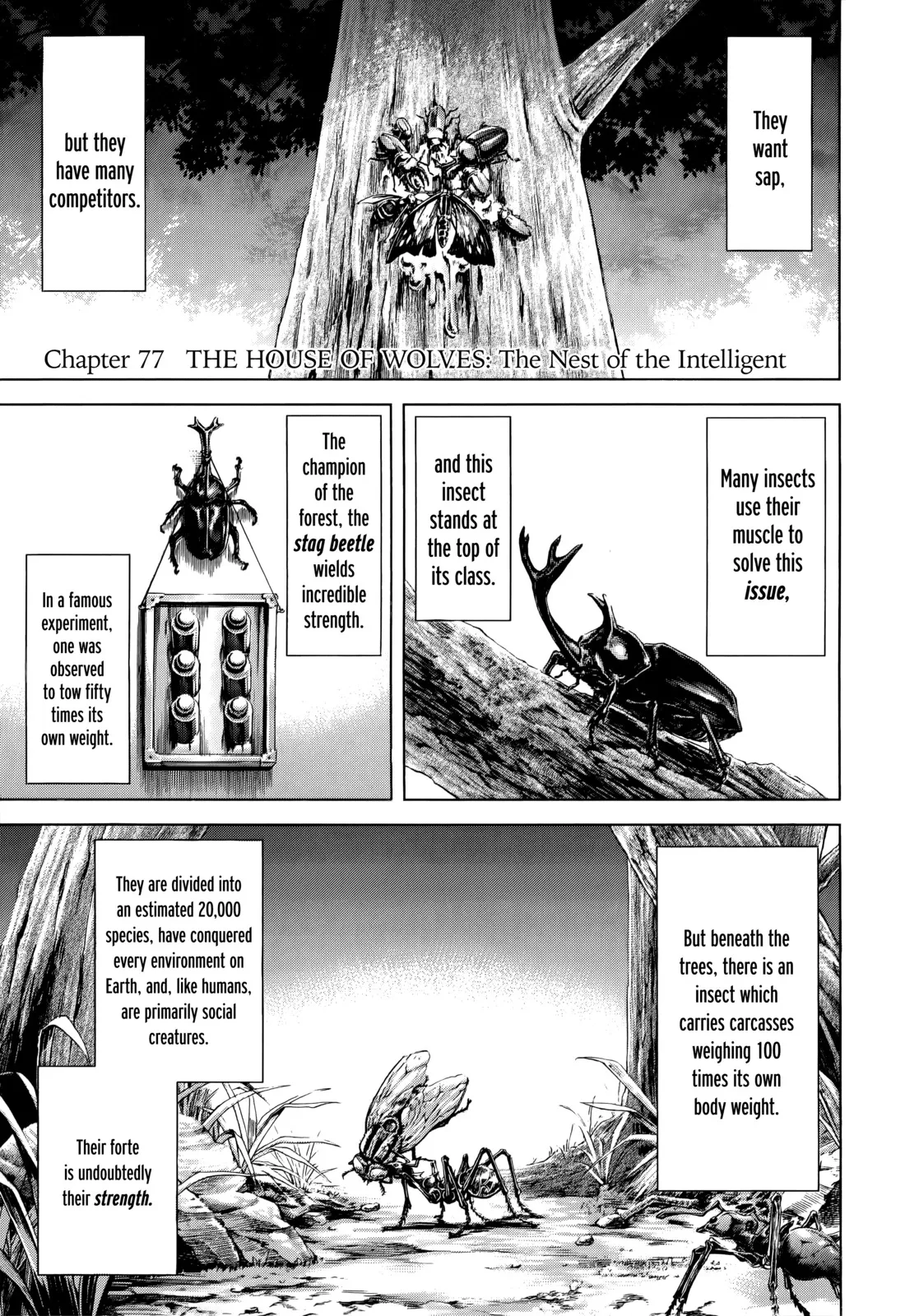 Read Terra Formars Chapter 77 - THE HOUSE OF WOLVES The Nest of the Intelligent Online