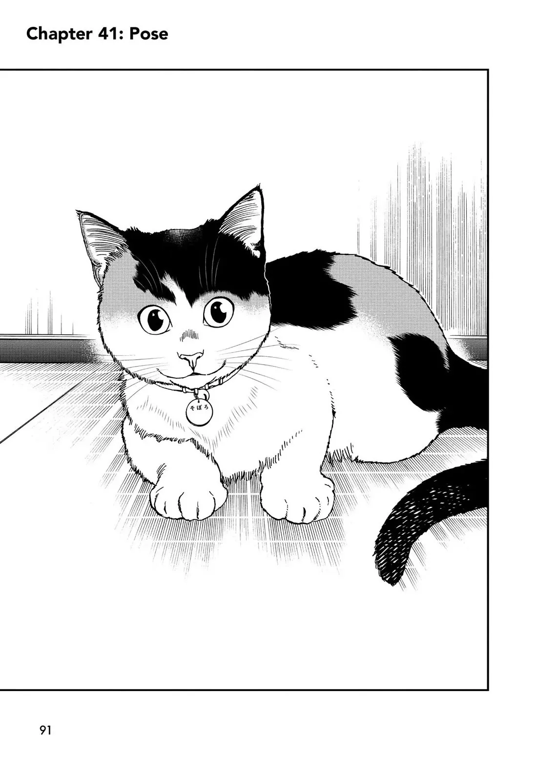 Read A Gamer Living with a Cat Chapter 41 - Pose Online