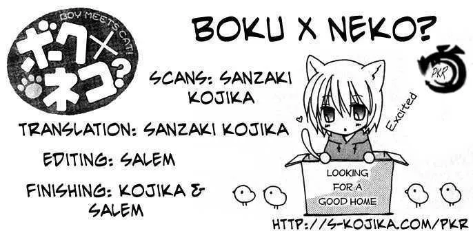 Read Boku x Neko? Chapter 2 Online