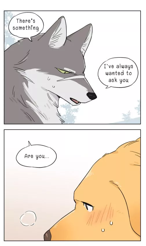 Read The Wolf That Picked Something Up Chapter 5 Online