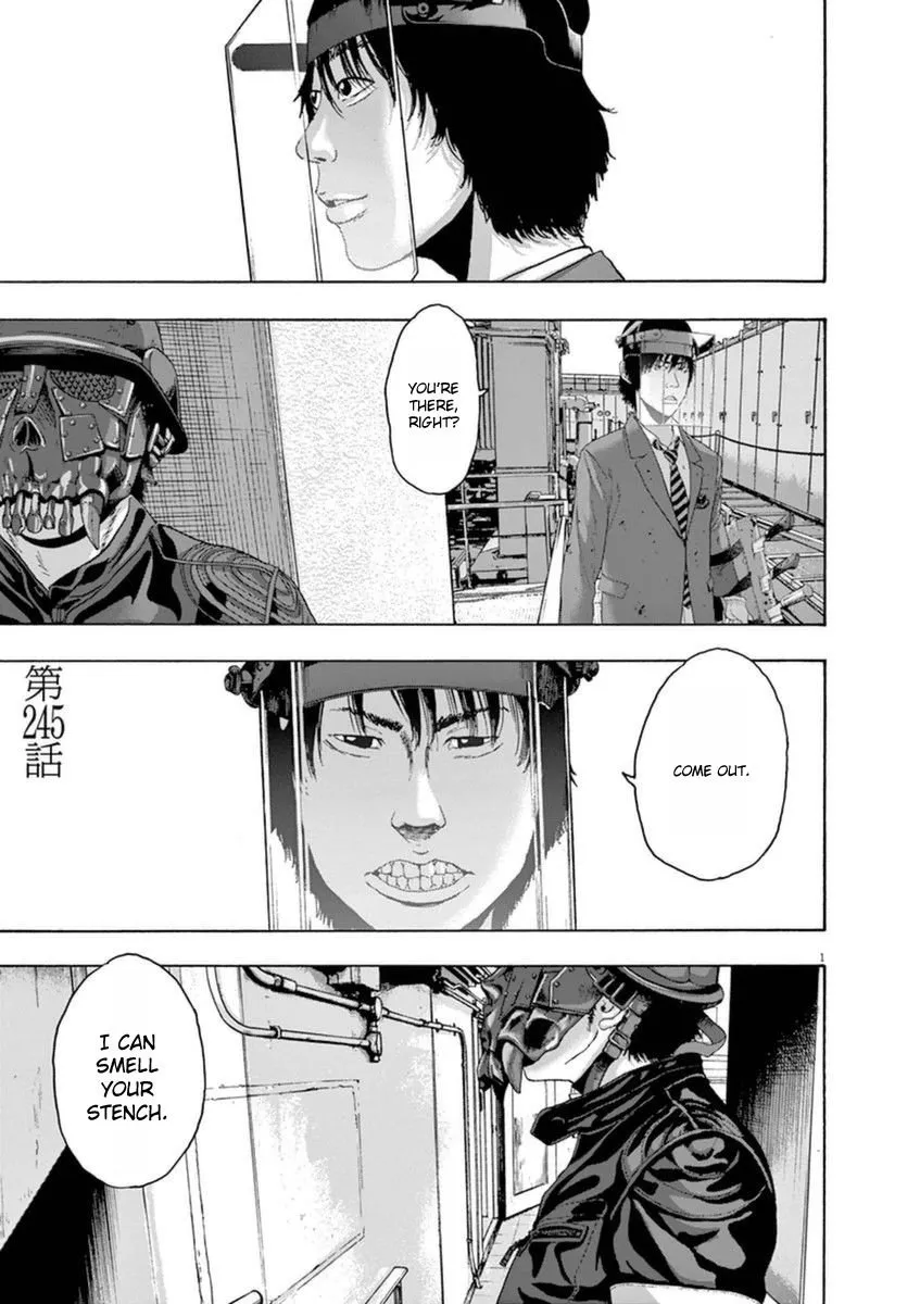 Read I Am a Hero Chapter 245 Online