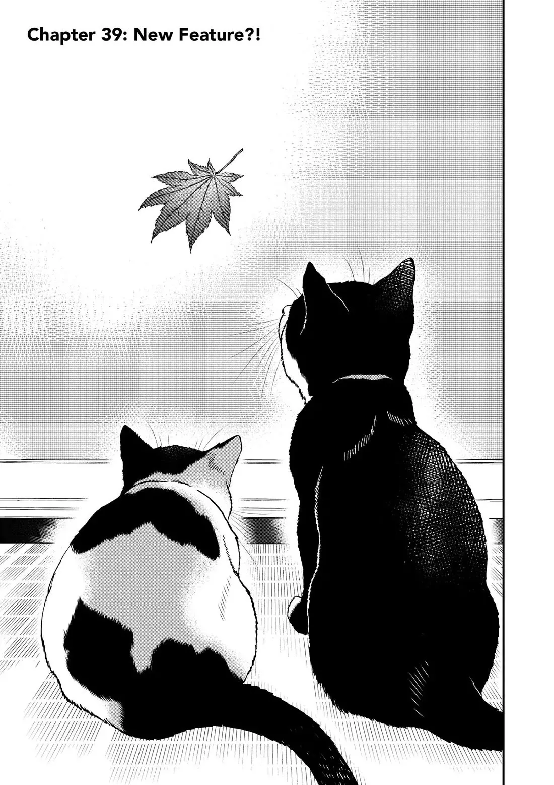 Read A Gamer Living with a Cat Chapter 39 - New Feature?! Online