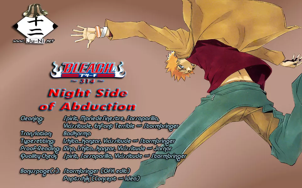 Read Bleach Chapter 314 - Night Side of Abduction Online