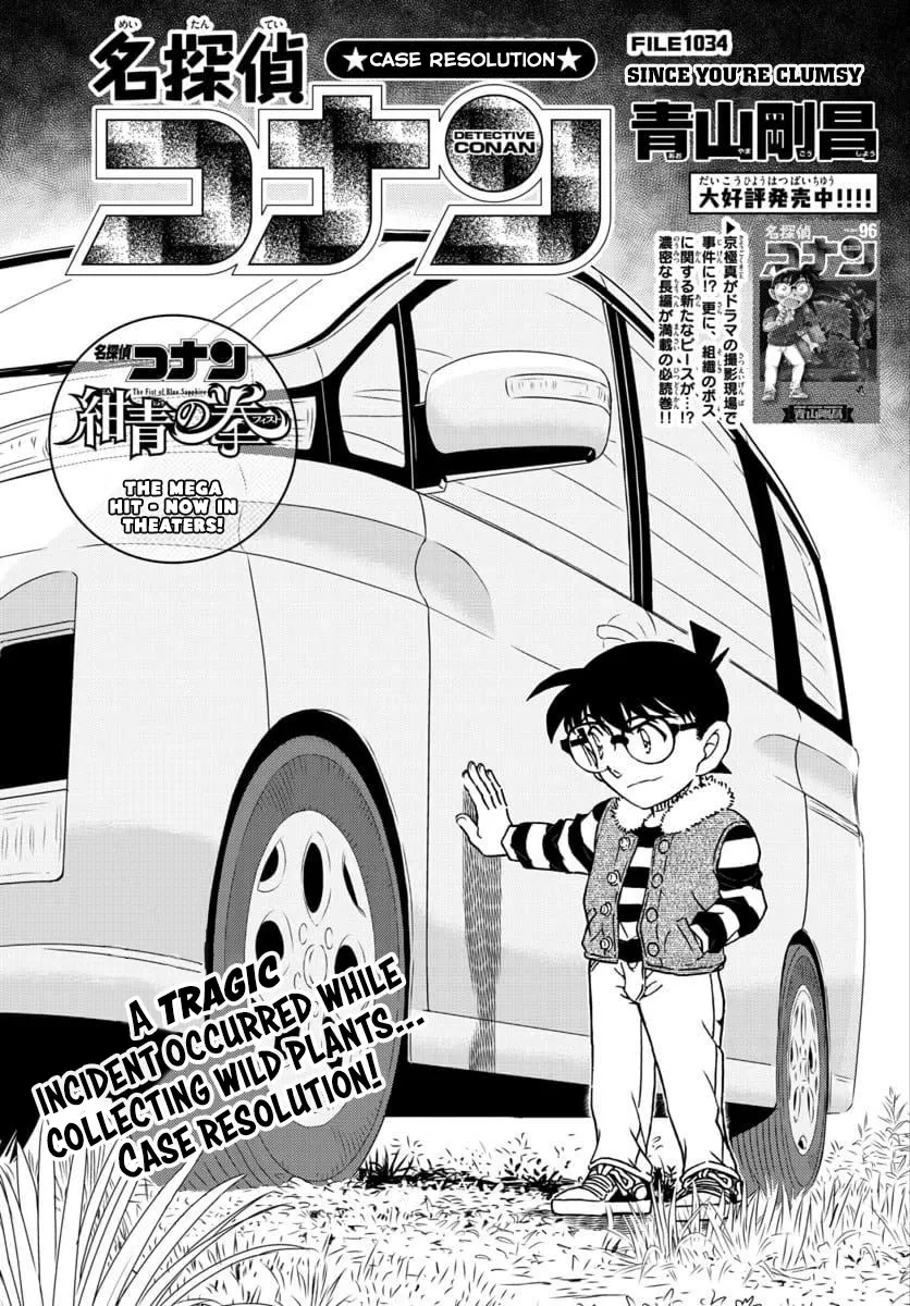 Read Detective Conan Chapter 1034 Online