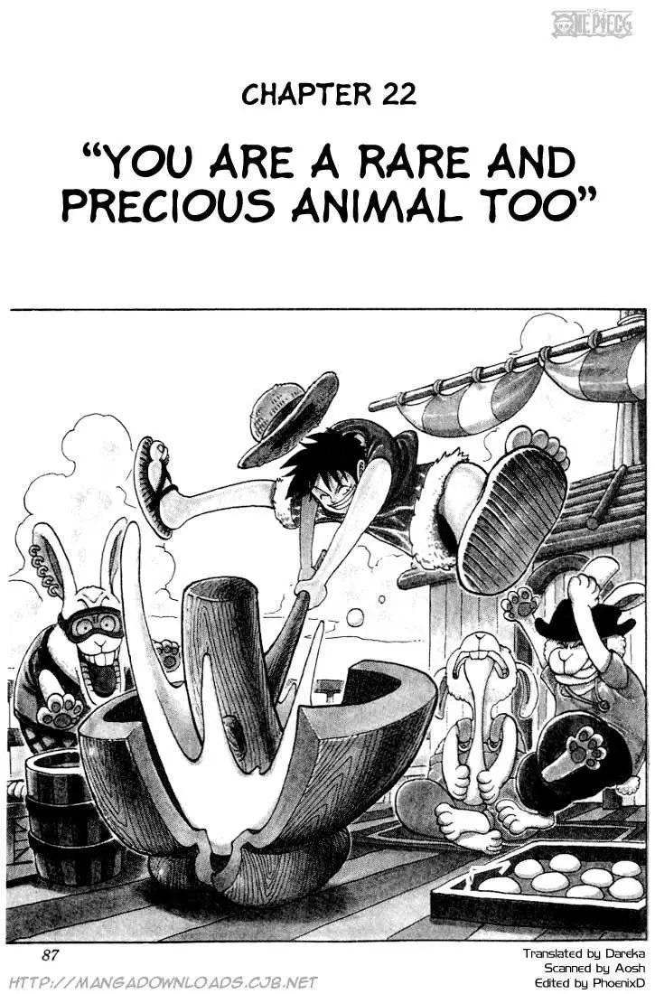 Read One Piece Chapter 022 - You Are A Rare And Precious Animal Too Online