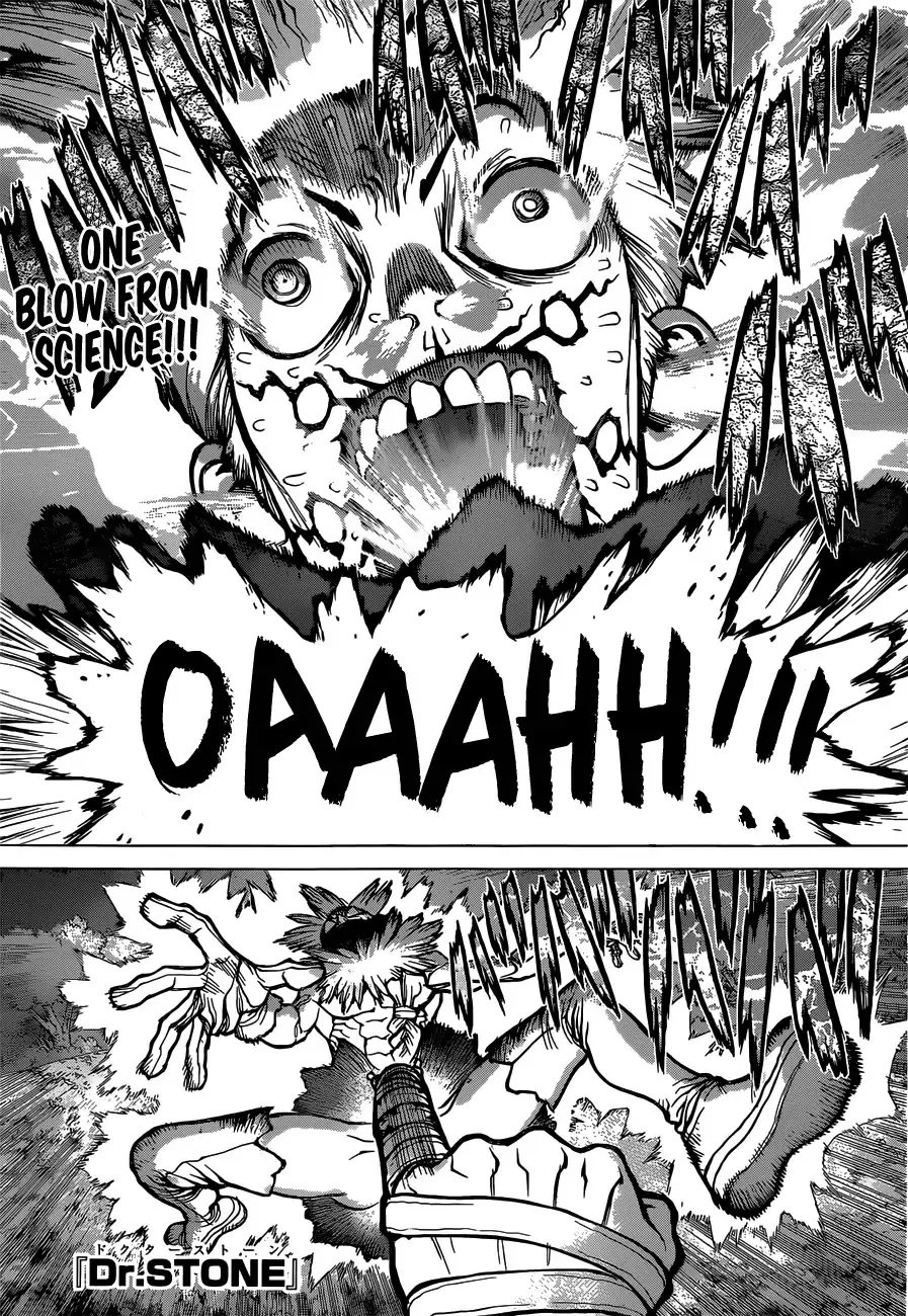 Read Dr. Stone Chapter 82 - Epilogue of The Stone Wars Online