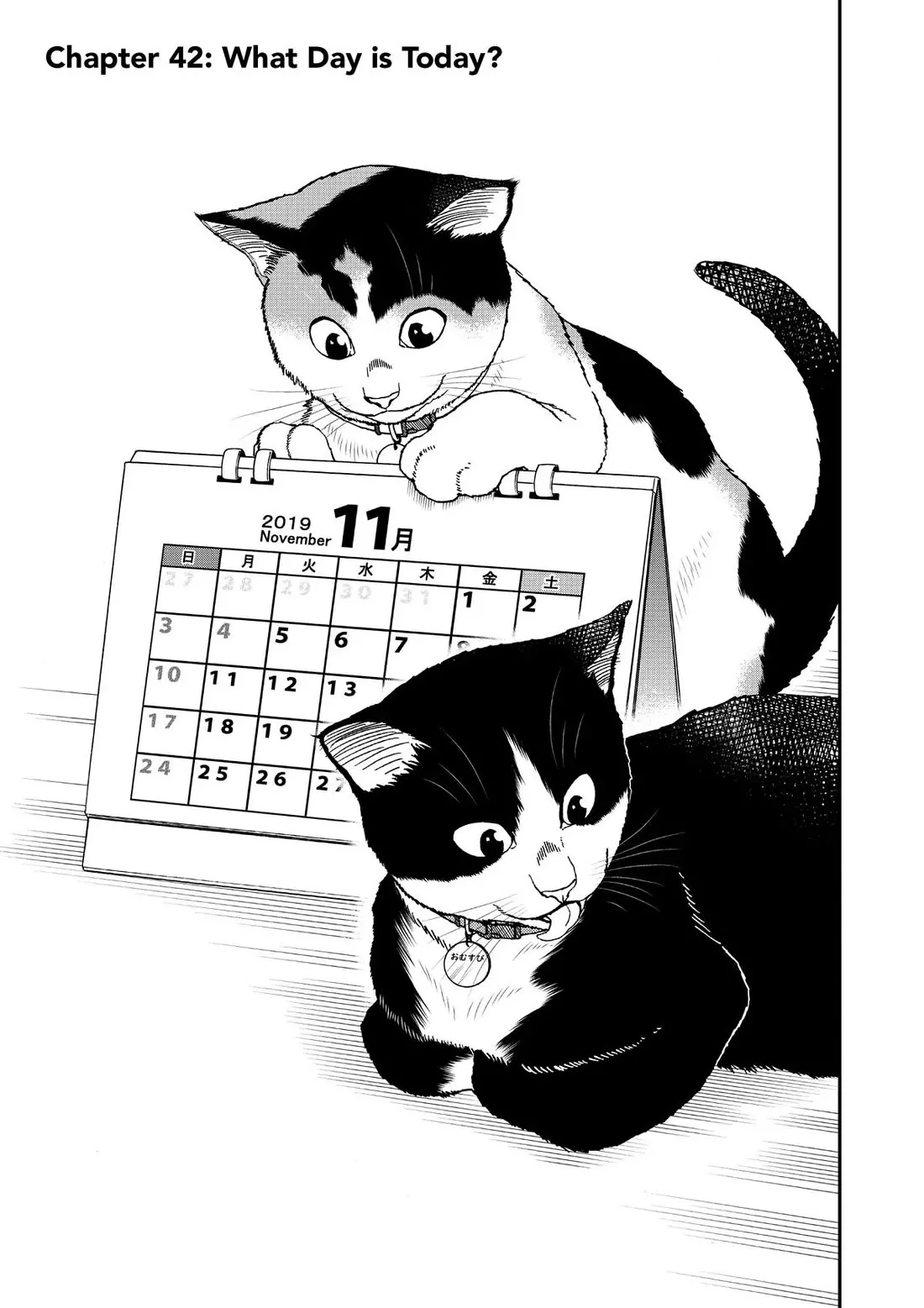 Read A Gamer Living with a Cat Chapter 42 - What Day is Today? Online