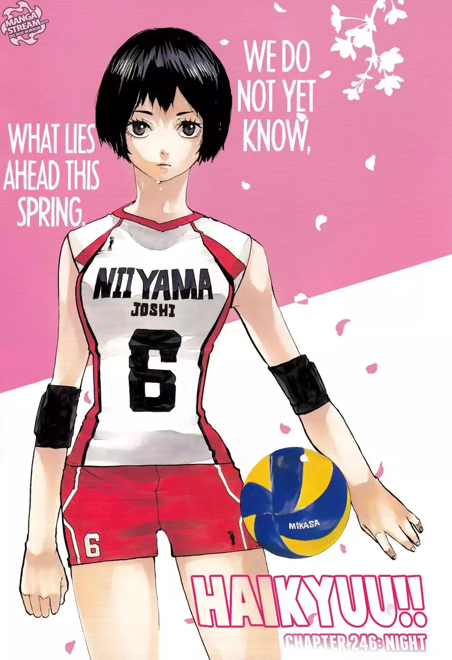 Read Haikyu!! Chapter 246 - Night Online