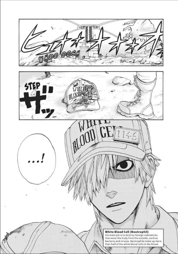 Read Hataraku Saibou Chapter 14 - Pimple Online