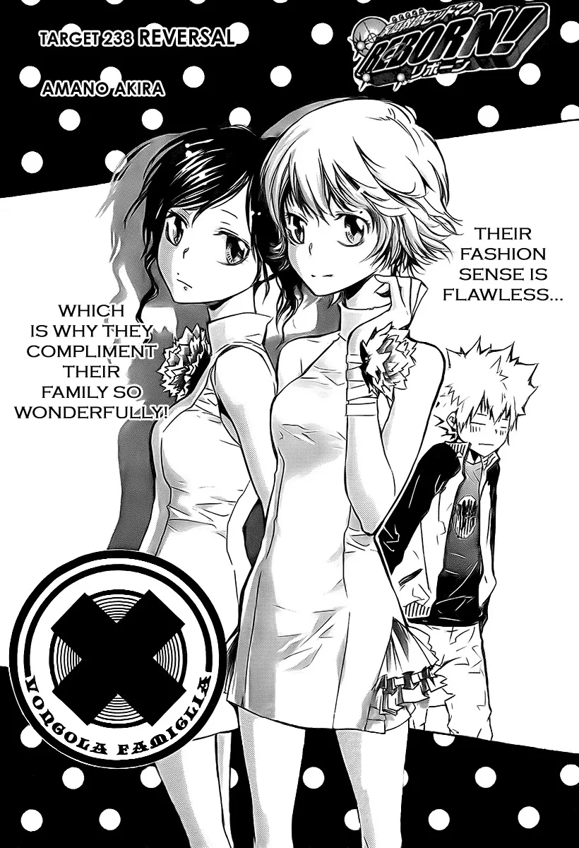 Read Katekyou Hitman Reborn! Chapter 238 Online