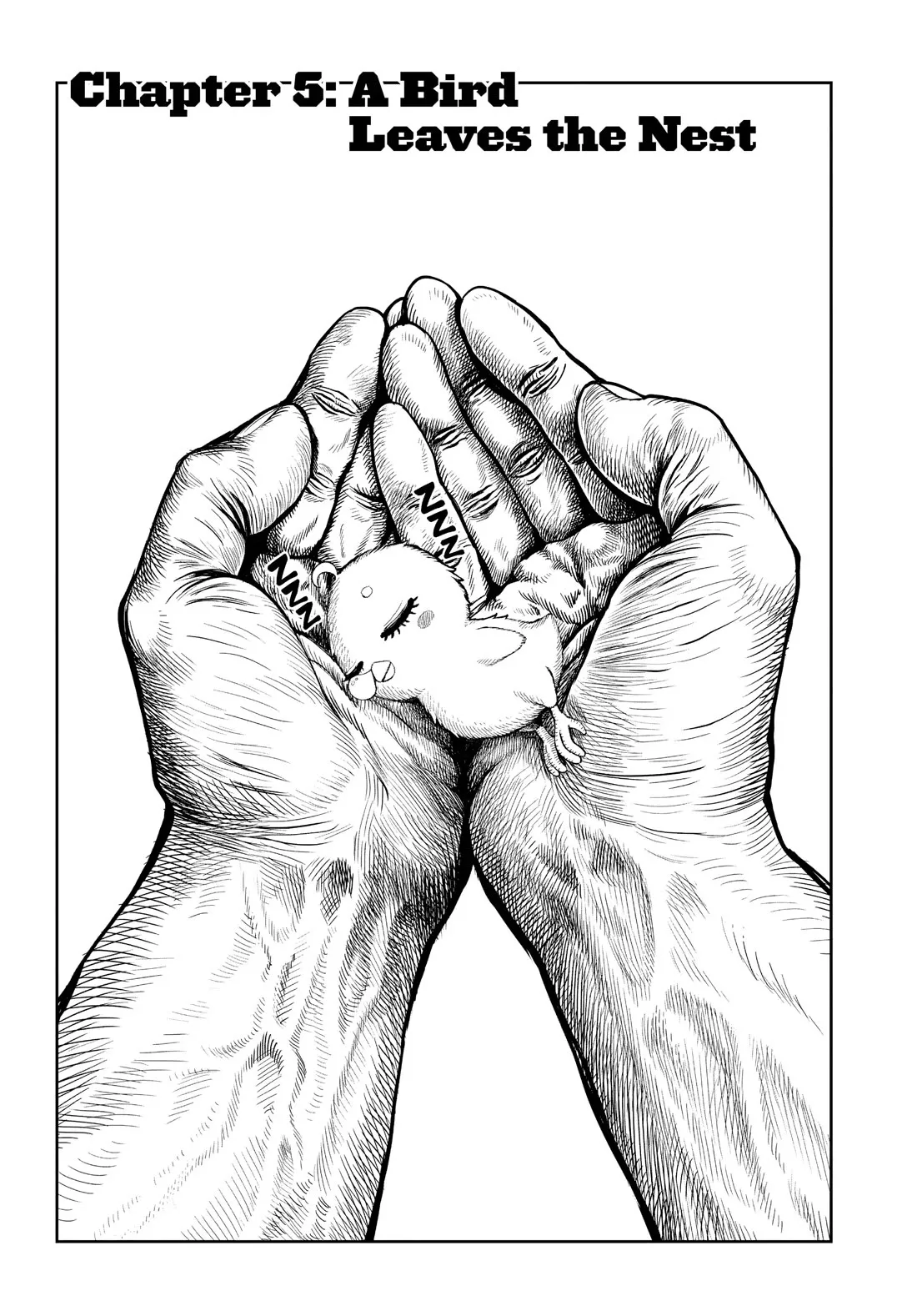 Read Rooster Fighter Chapter 5 Online